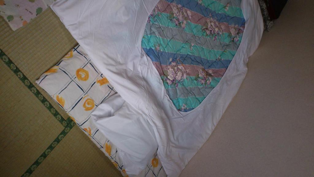 Hotel New Hakuginso NakaNakafurano Pokoj fotografie